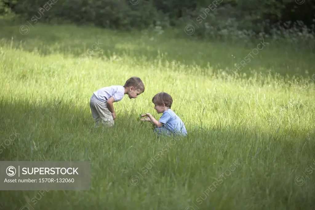 Two young boys in a field