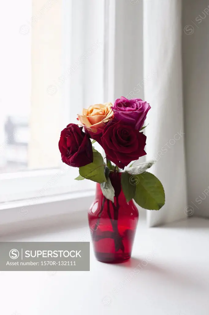 Roses in a vase on a windowsill