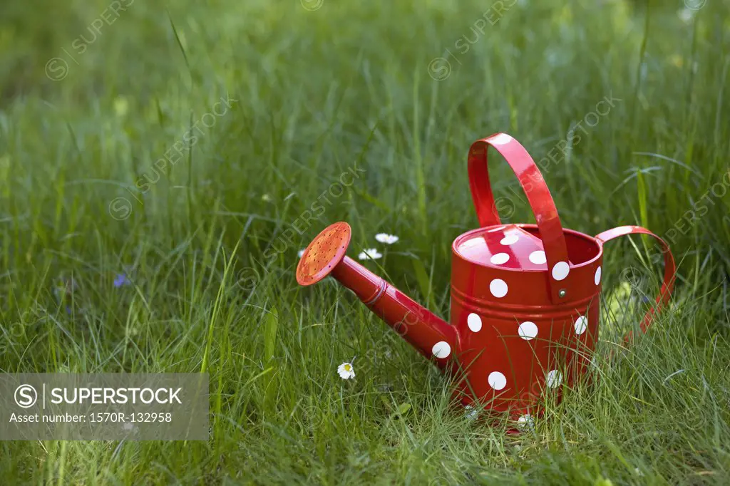 A watering can on grass