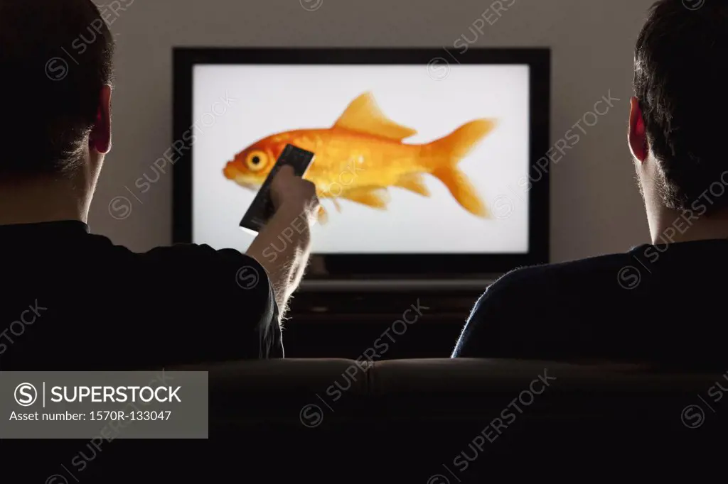 Two men watching television with one using a remote control