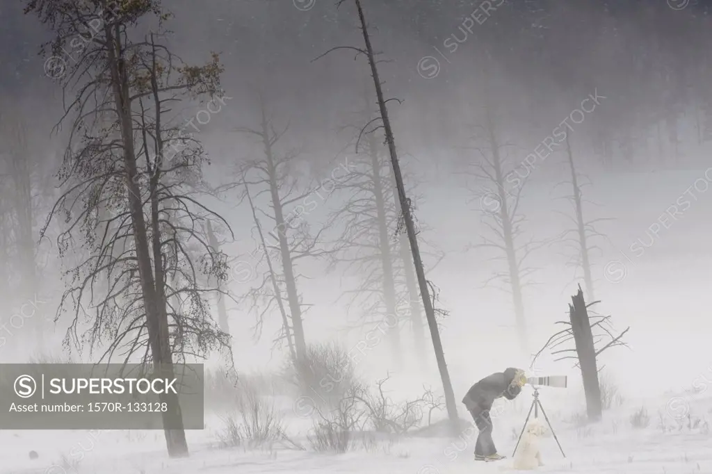 A photographer shooting in Yellowstone National Park, Lamar Valley, Wyoming