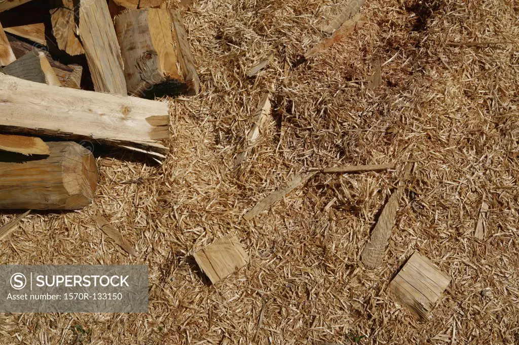 Sawdust and pieces of wood
