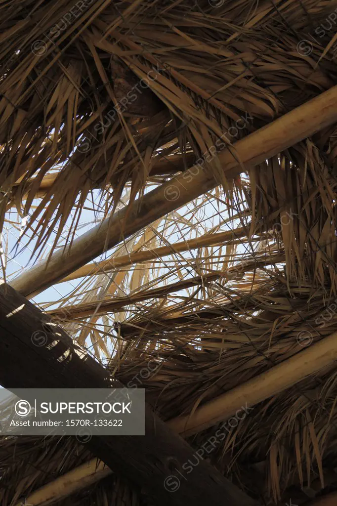 Detail of a damaged thatched roof