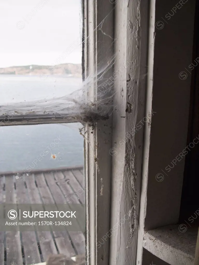 Cobwebs on a window frame