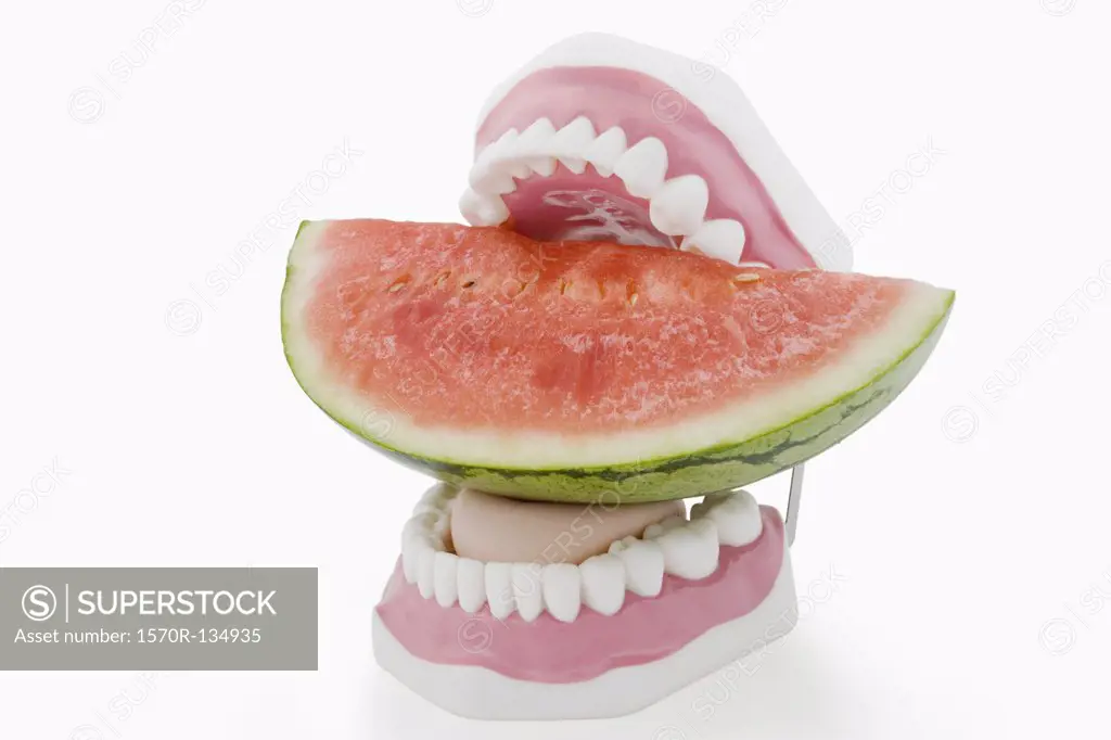 Teeth biting a watermelon