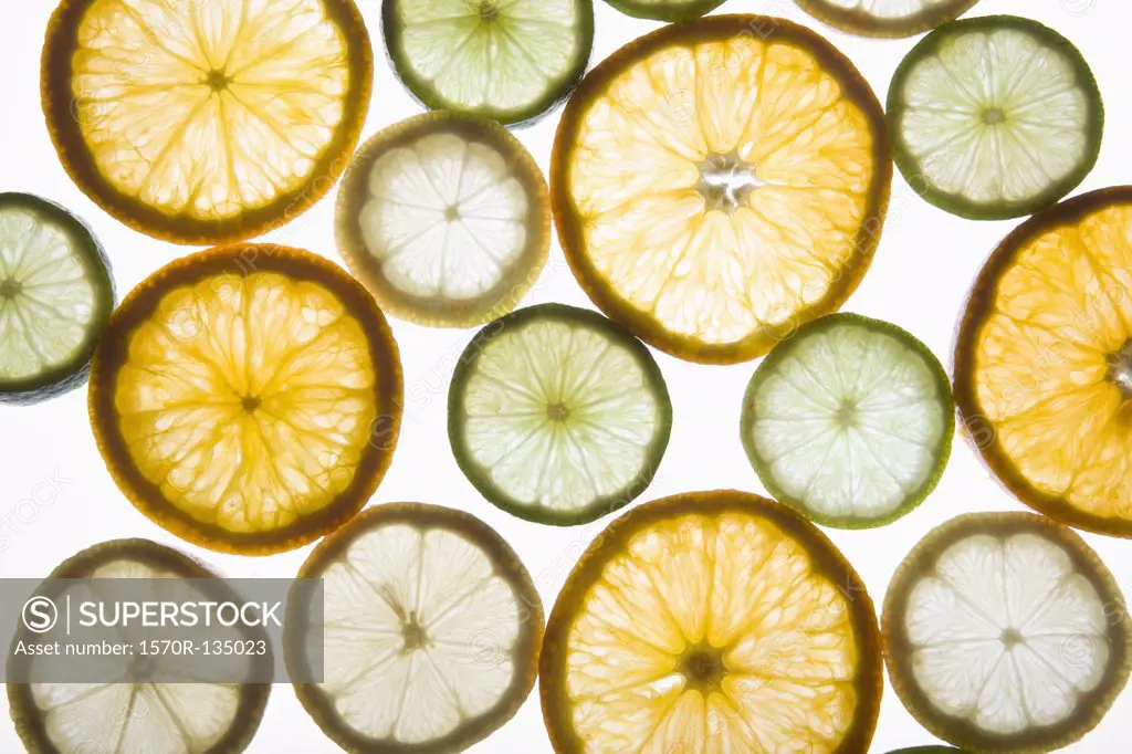 Sliced citrus fruits on a lightbox