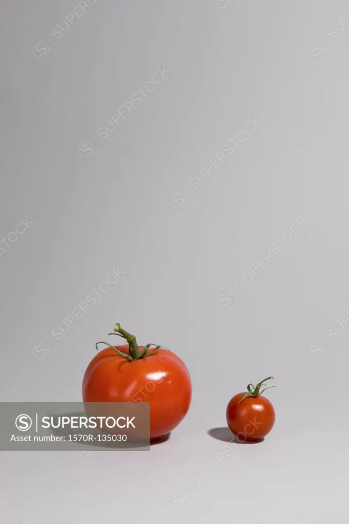 A tomato next to a cherry tomato
