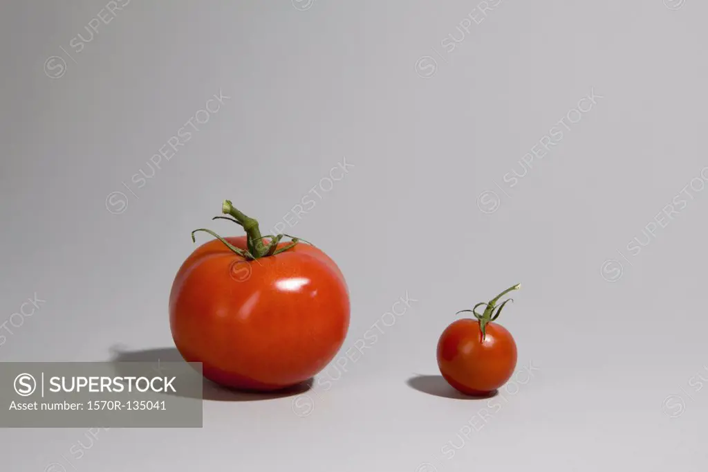 A tomato next to a cherry tomato