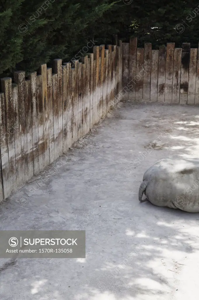View of a hippopotamus lying down in a zoo enclosure