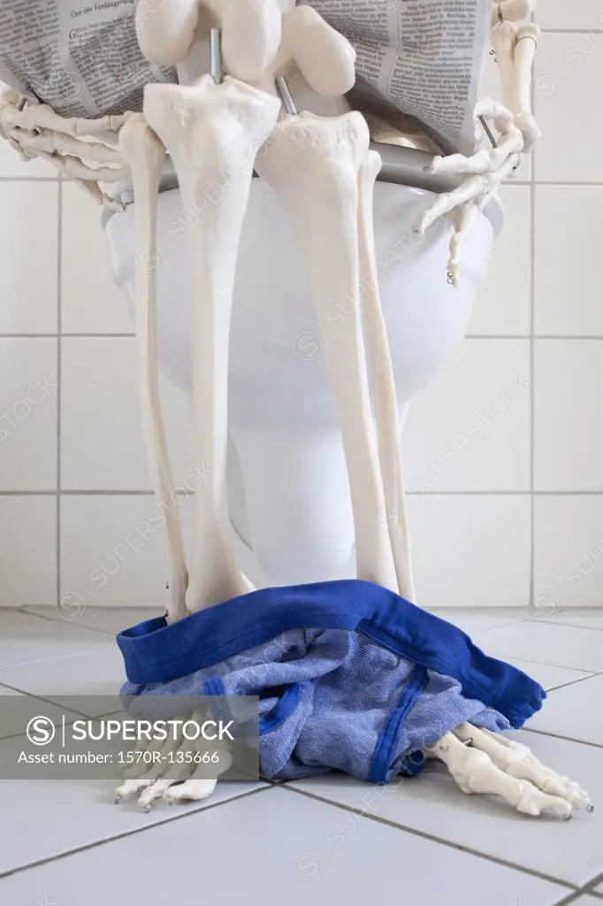 A skeleton using a toilet, low section