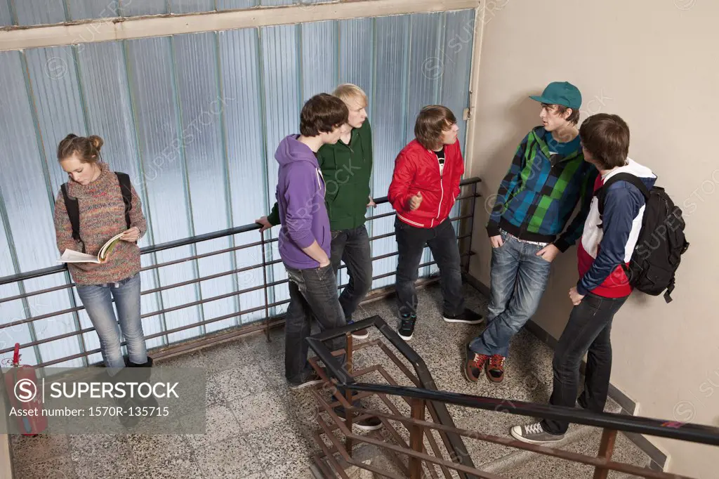 Five teenage boys talking and ignoring a teenage girl in a school stairwell