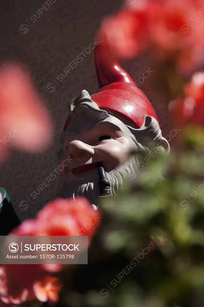 Detail of a garden gnome