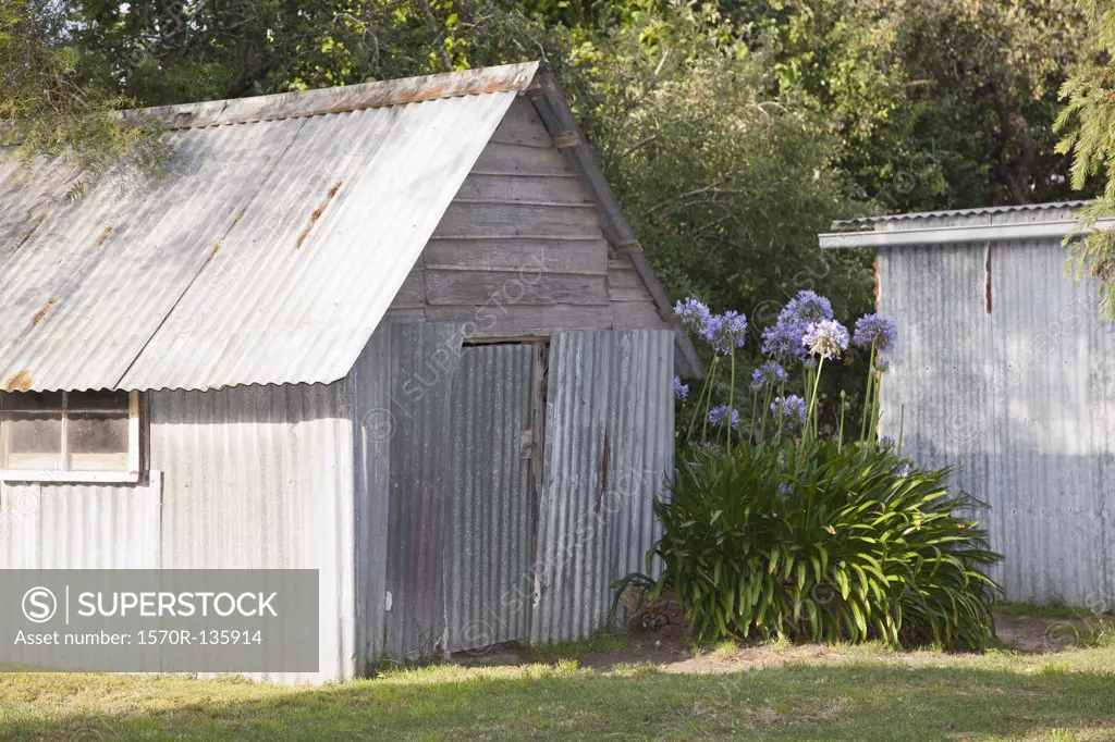 A backyard shed