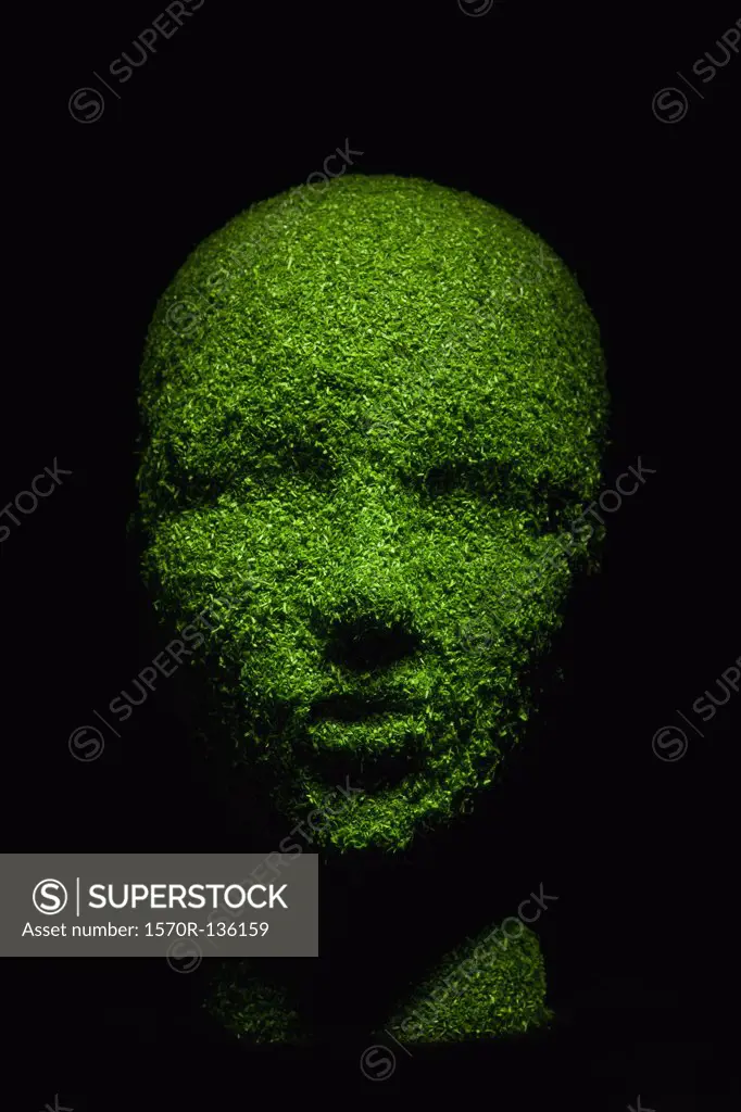 Dummy head made of grass