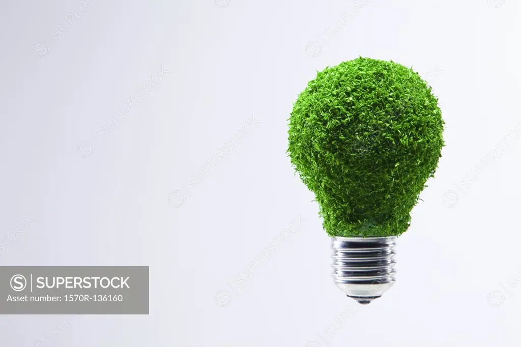 Energy saving light bulb covered in green grass