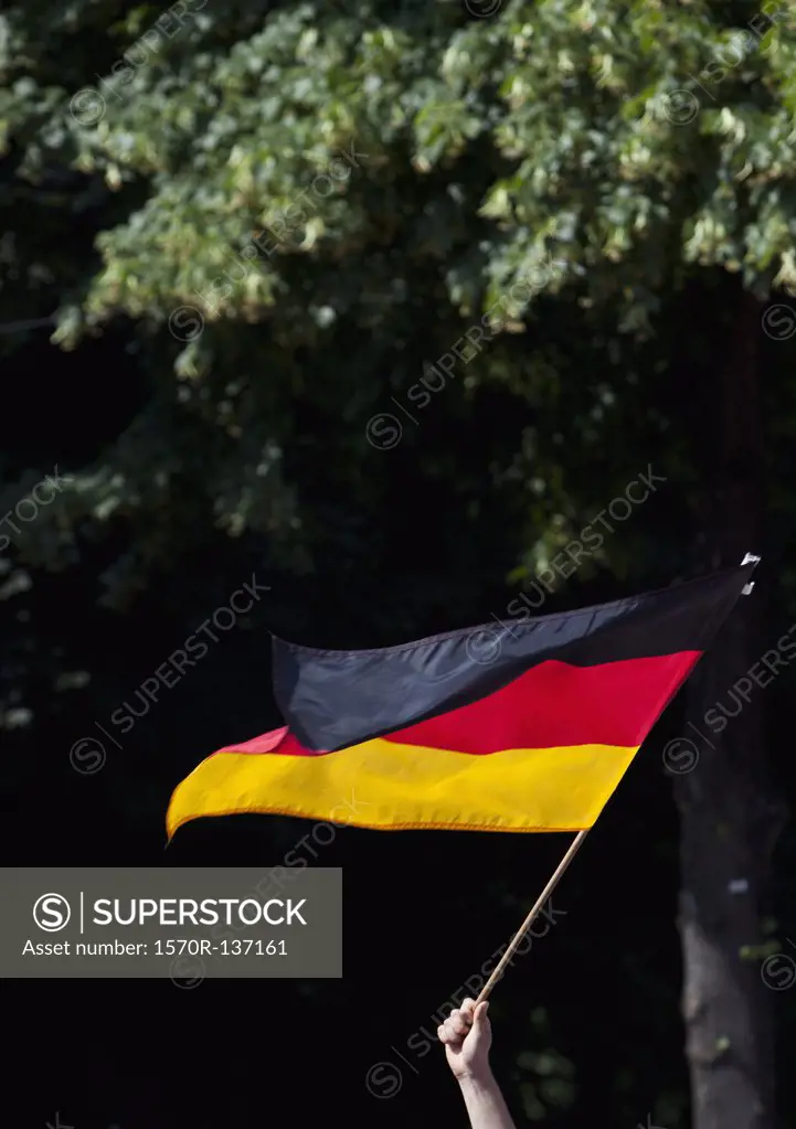Detail of a person waving a German flag