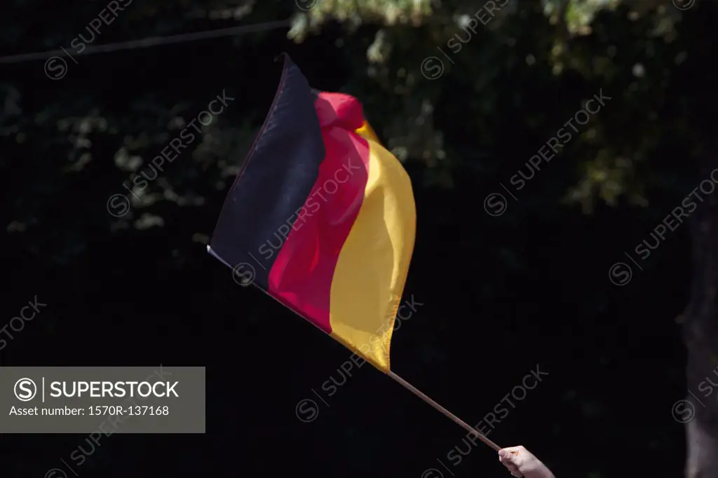 Detail of a person waving a German flag
