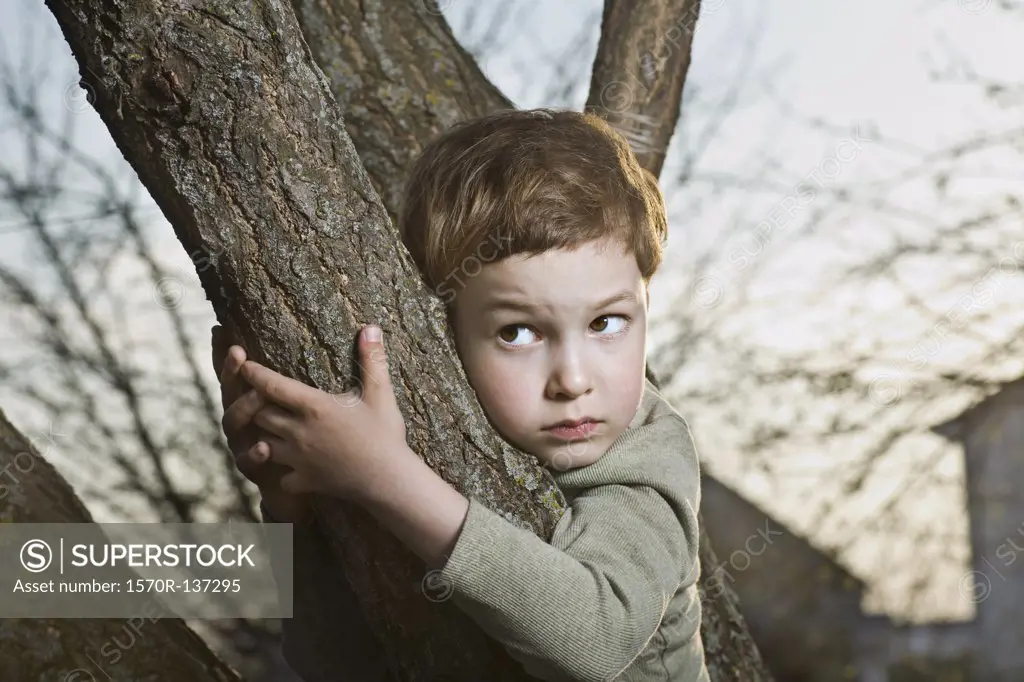 A young scared looking boy holding on to a tree branch