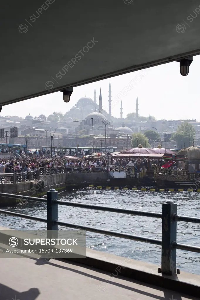 A crowd of people watching tour boats dock, Istanbul, Turkey