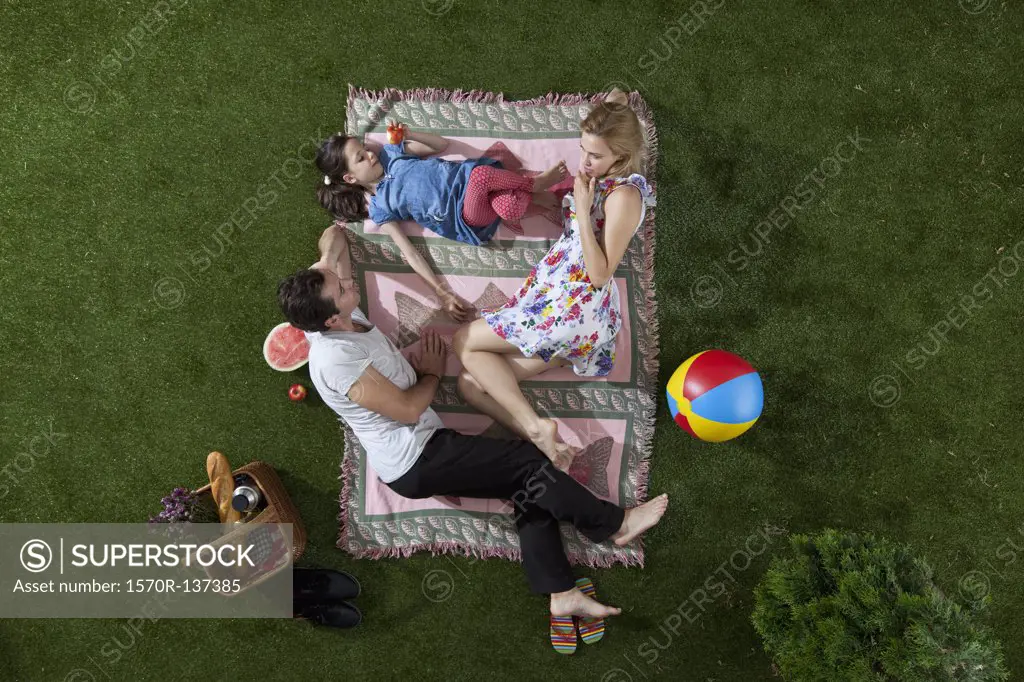 A family having a picnic in the park, overhead view