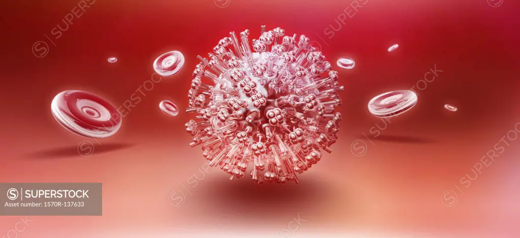 Influenza virus particle surrounded by some floating red blood cells