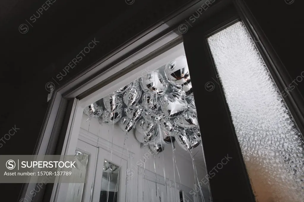 Bunch of silver helium balloons risen to the ceiling of a small room