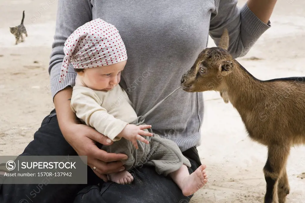 A goat pulling on the drawstring of a baby's pants