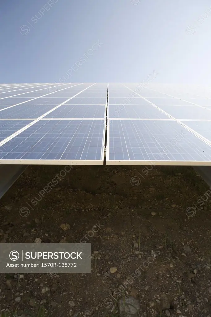 Low angle view of solar panels in a field