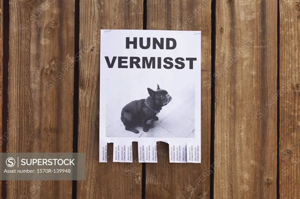 A lost dog in flyer in German posted on a wooden fence