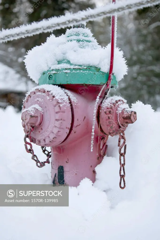 A fire hydrant in snow