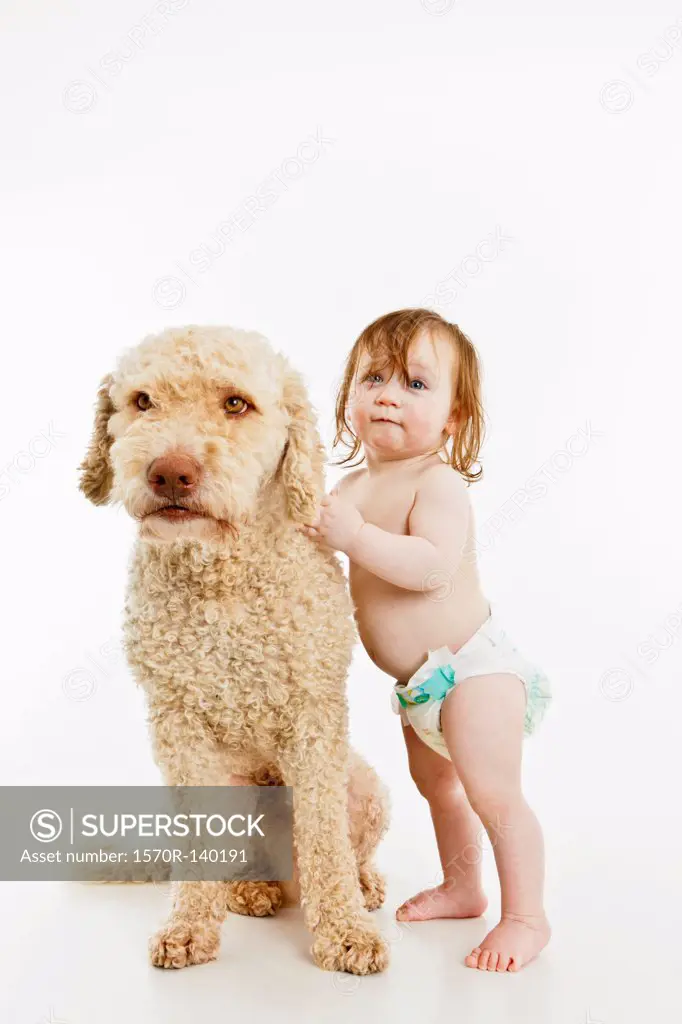 A baby girl with a dog