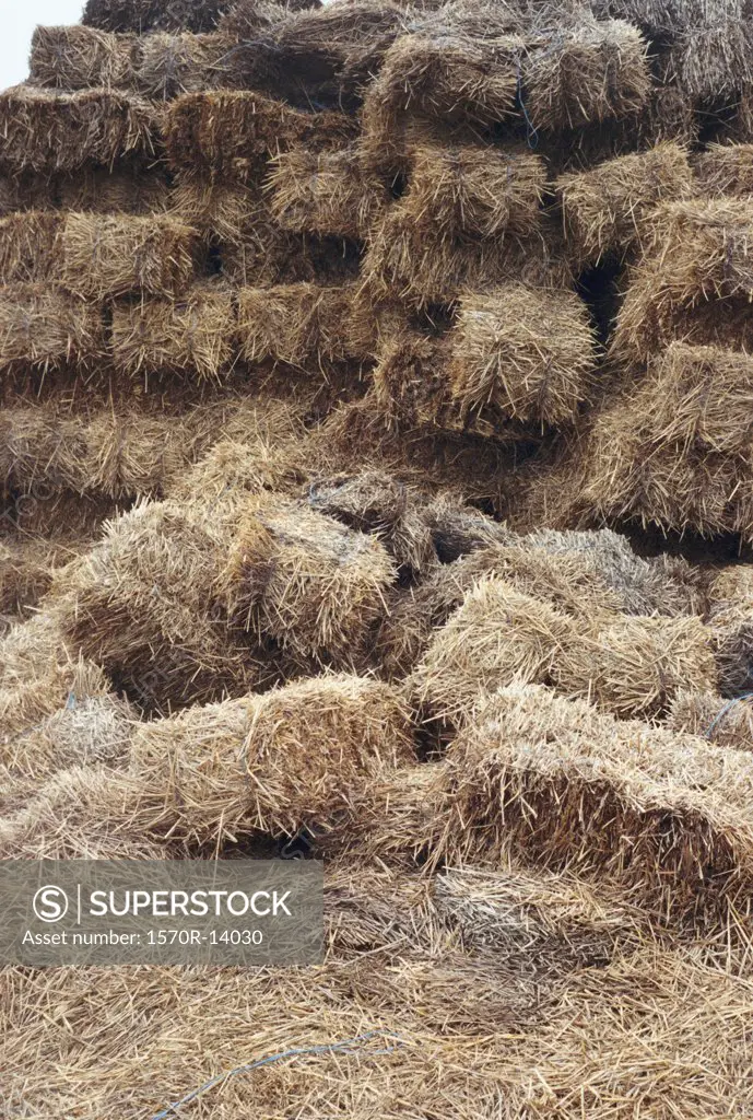 hay fallen from a hay stack