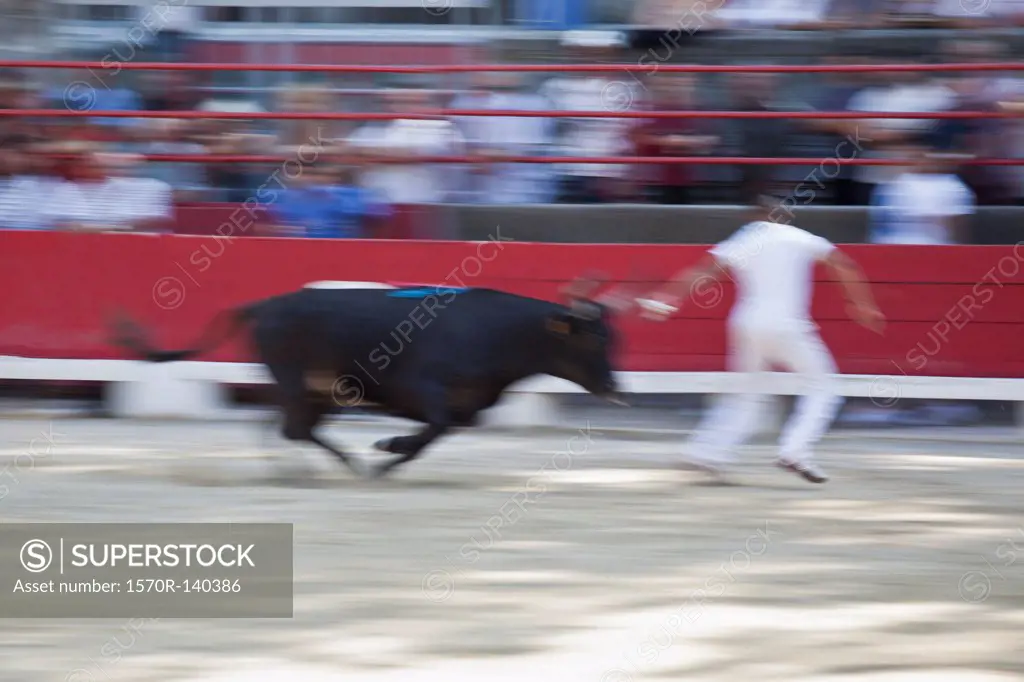 A bull chasing a man in an arena