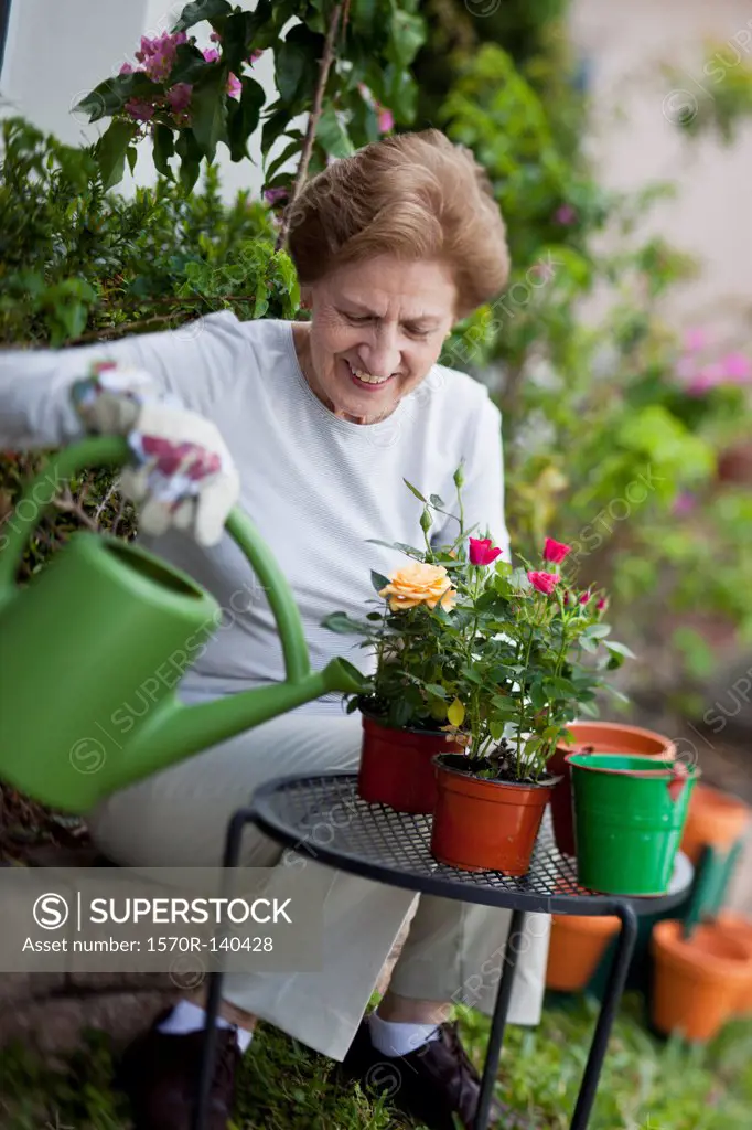 A senior woman gardening