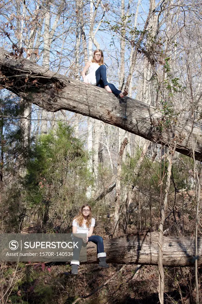 Two similar girls sitting on tree trunks in forest in Mooresville, North Carolina, USA