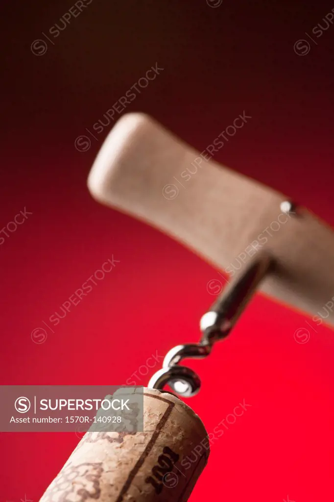 Corkscrew in cork