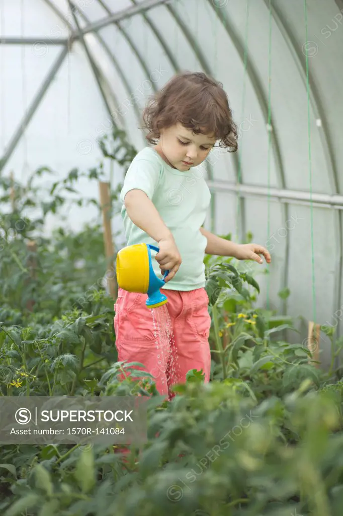 A young girl watering plants in a greenhouse
