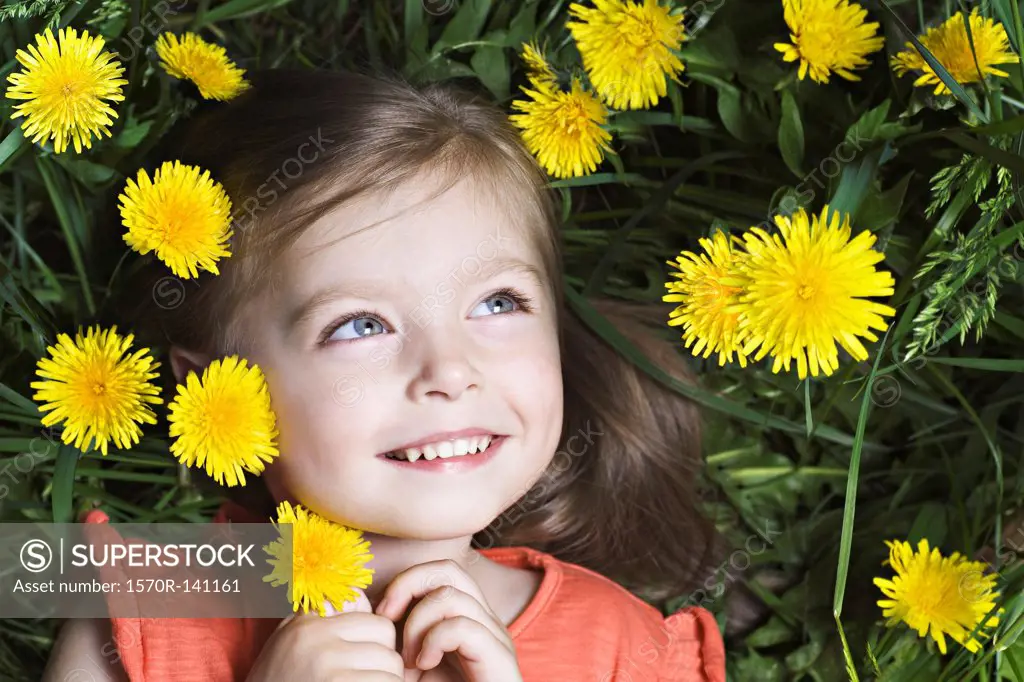 A young girl lying amongst dandelions