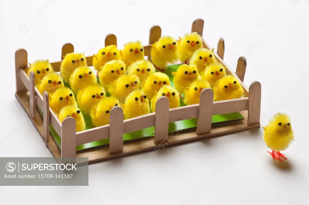 A group of toy Easter chicks fenced in with one on the outside of the fence