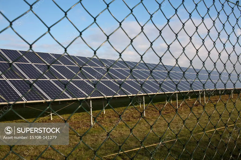 Solar panels behind chain link fence