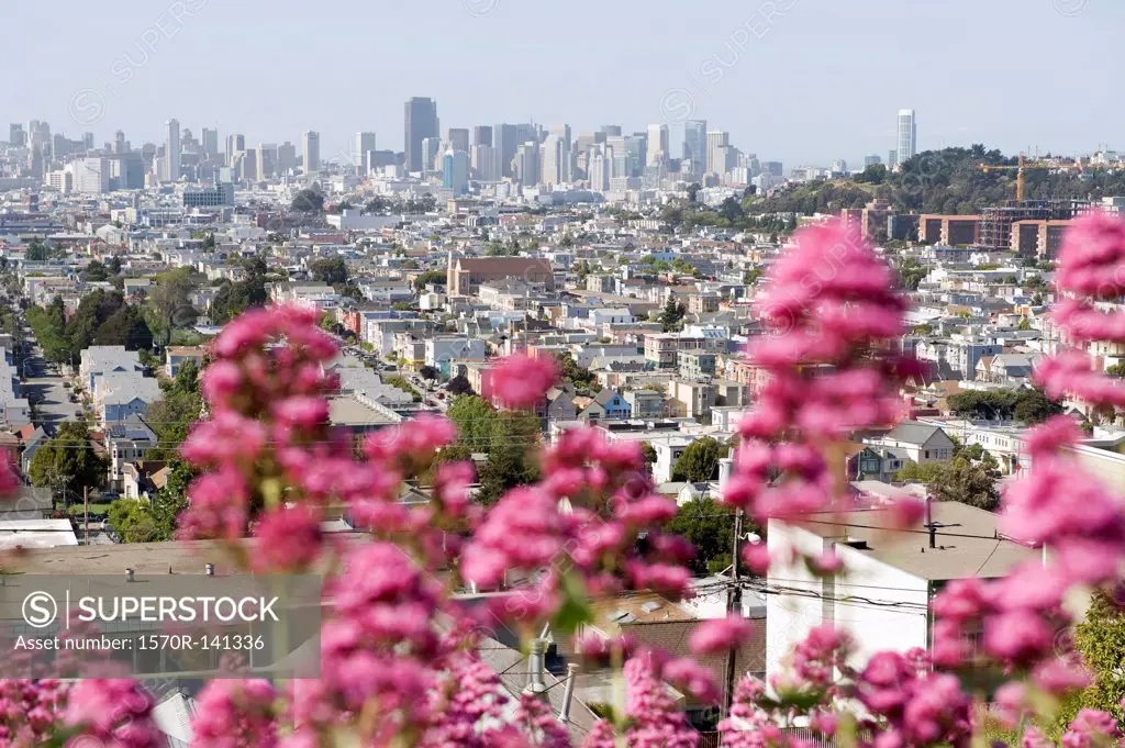 City view, San Francisco, California, USA