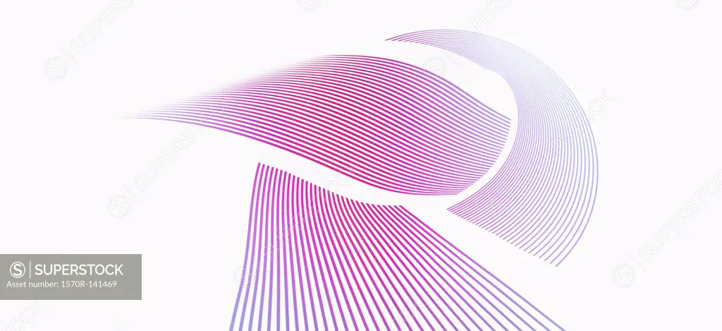 Pink and purple abstract lines against a white background