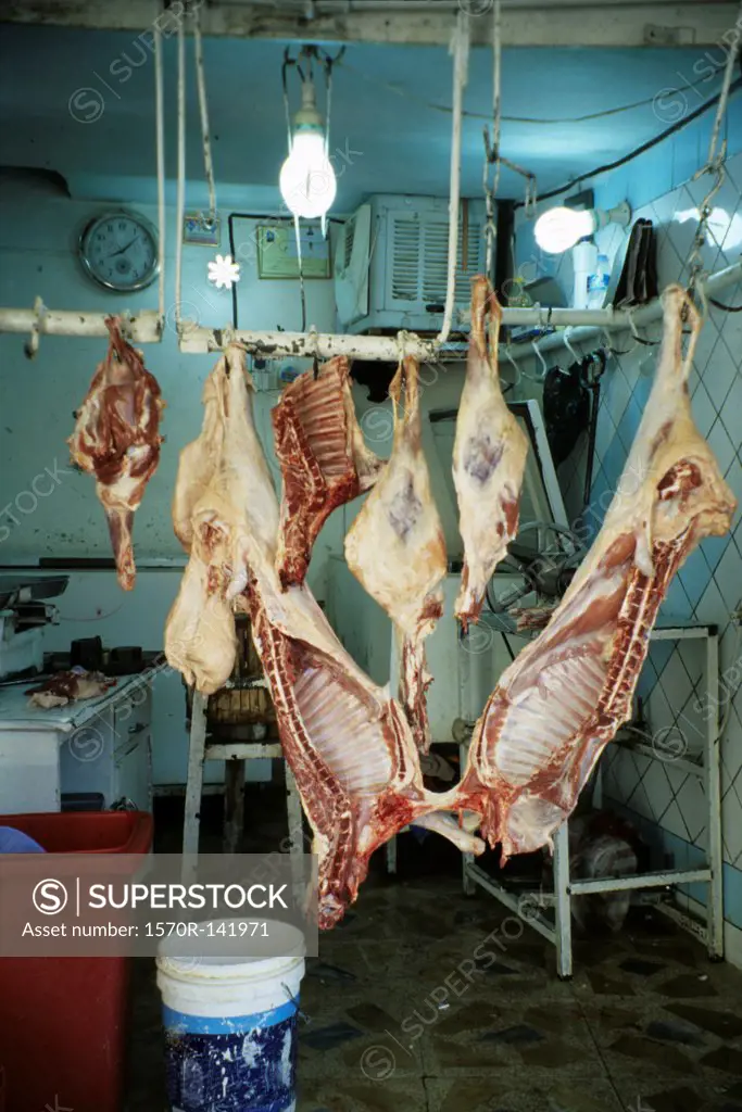Raw meat hanging in storage room