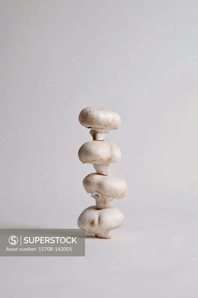 Four mushrooms arranged in a stack, studio shot