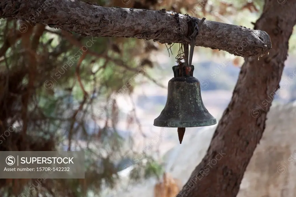 Bell hanging from tree