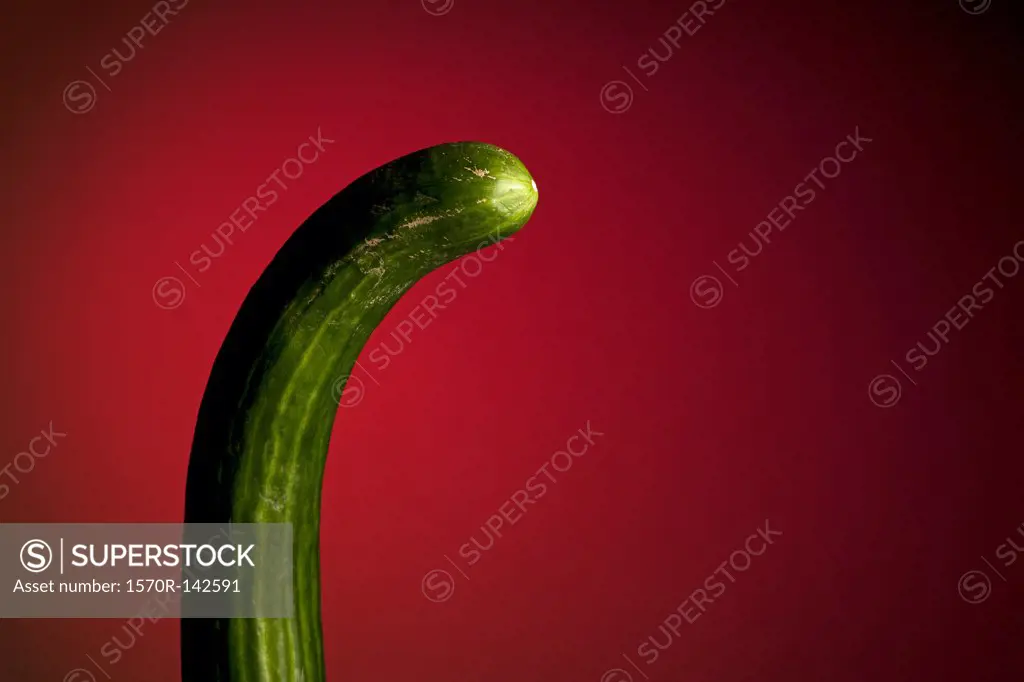 A curved cucumber suggestive of a penis