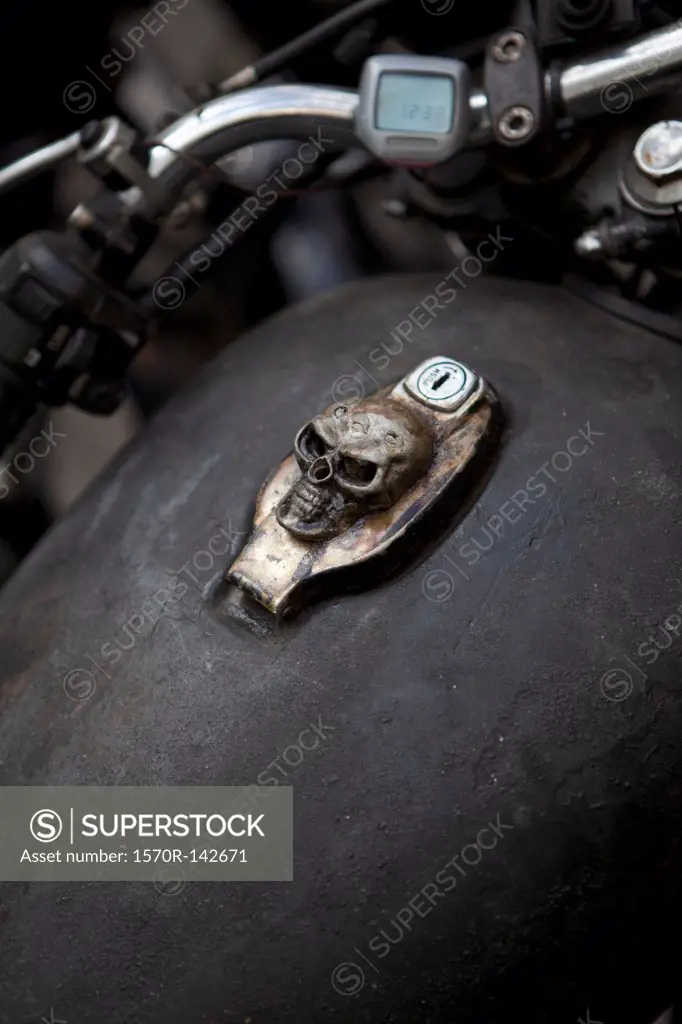 Skull design on motorcycle ignition