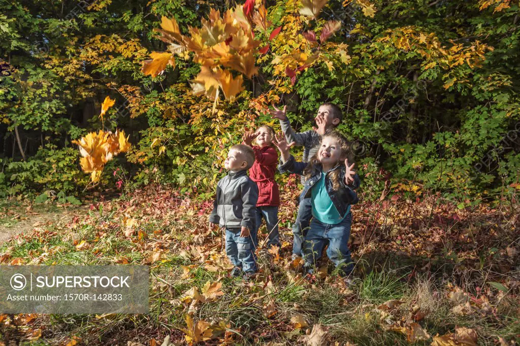 Four kids trying to catching falling autumn leaves