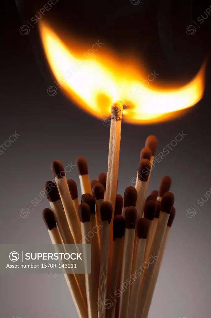 One lit match in a bundle of matches
