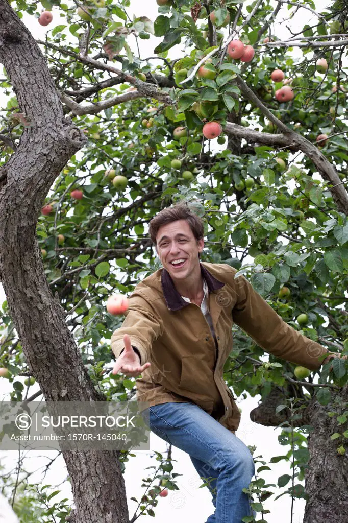 Man throwing apple from apple tree